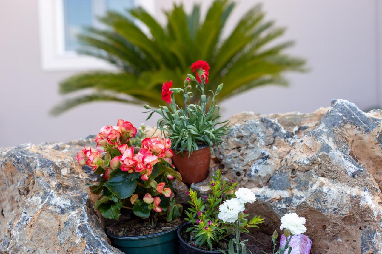 Nightingale Villa & Suites Corfu Gazátika Buitenkant foto